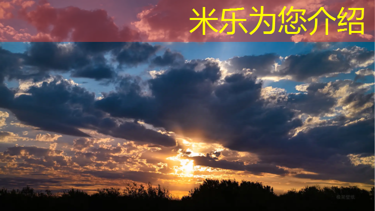 <strong>米乐：梅州环保型塑胶跑道材料</strong>