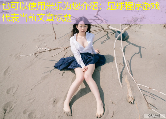 足球程序游戏